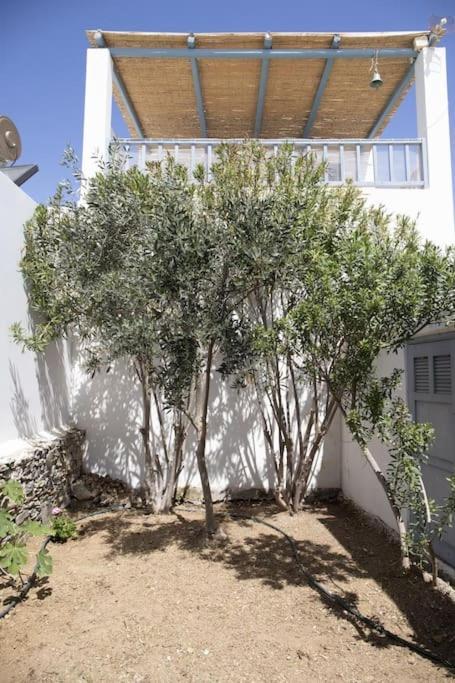 Beachfront 2Br Apartment - Free Parking Livadi (Serifos) Exterior foto
